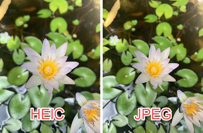 HEIC Vs JPG: Cuál Es La Diferencia