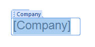 Campo de empresa insertado en el documento