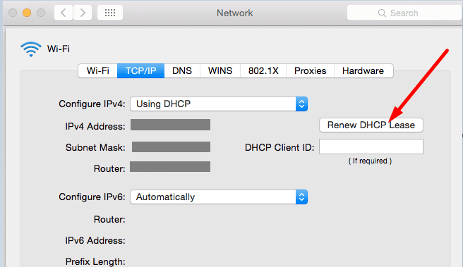 Renovar el mac de arrendamiento de DHCP