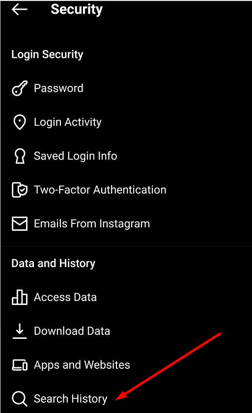 historial de búsqueda de seguridad de instagram