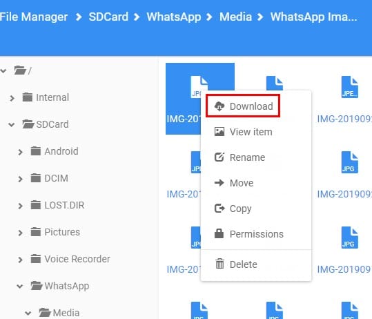 File Manager Pro como usarlo