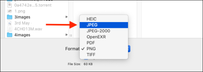 Seleccione el formato de archivo en el que desea exportar la imagen