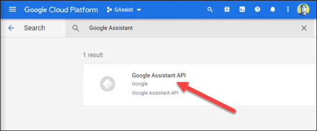 Pinchalo "API del Asistente de Google" opción cuando aparece.