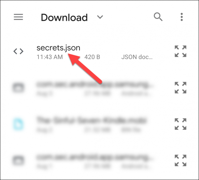 Para seleccionar "secrets.json" en el "Descargar" carpetas.