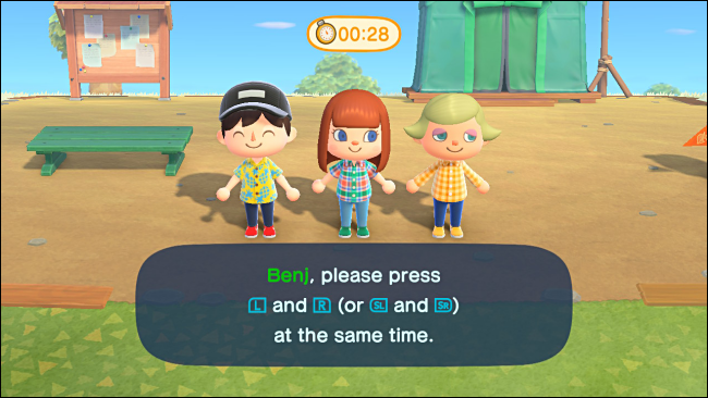 Asignar controladores para el juego en grupo en Animal Crossing: New Horizons