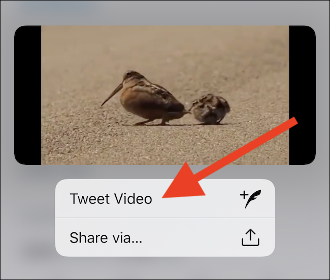 Selecciona el "Tweet el video" botón