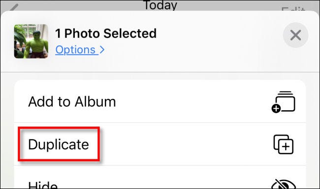 Toque Duplicar en el menú Compartir en Fotos en iPhone.
