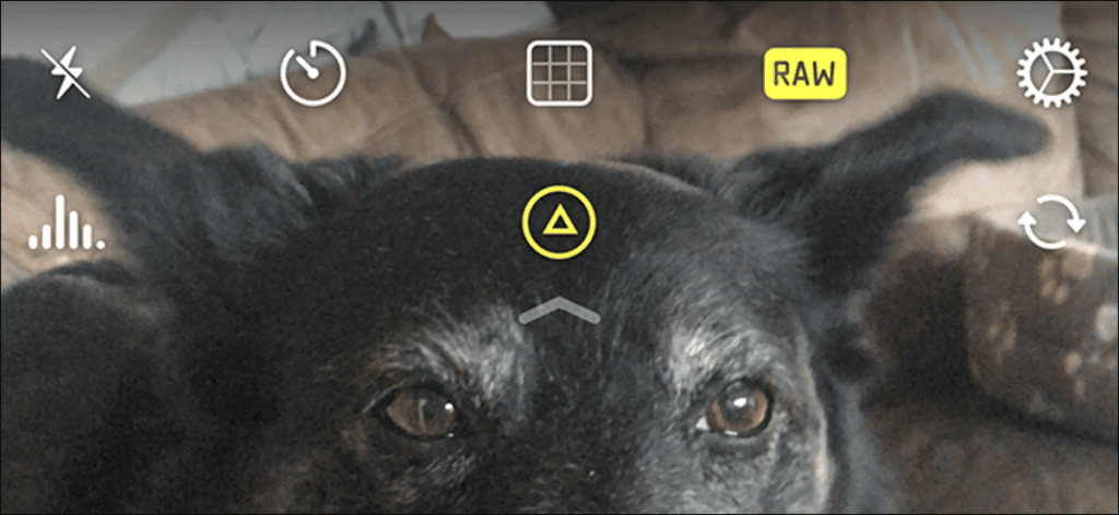 Cómo tomar fotos RAW en tu iPhone