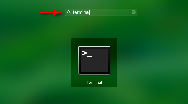 Abra Launchpad y escriba "Terminal" luego presione Enter.