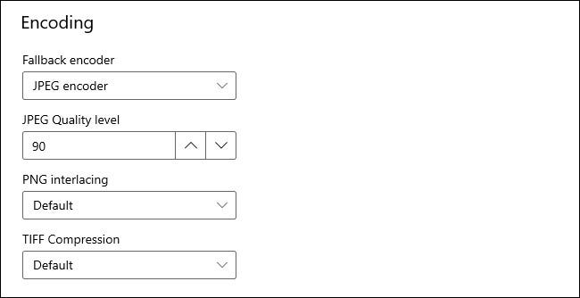 los "Codificación" en el módulo PowerToys Image Resizer.