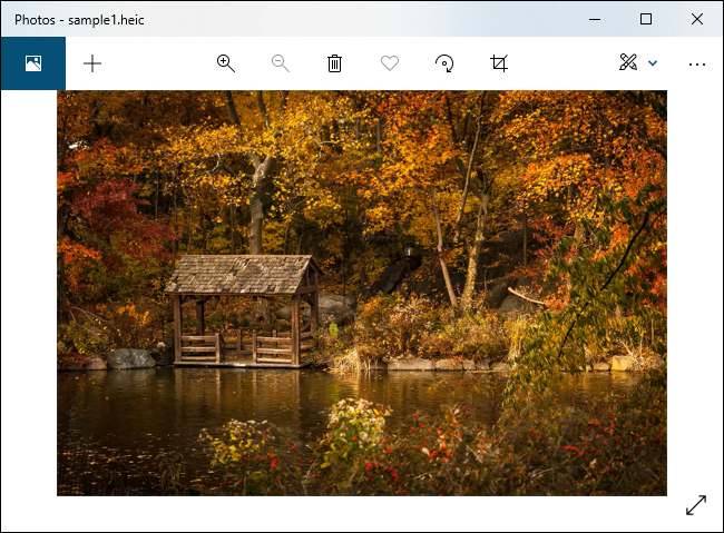 Un archivo HEIC que se muestra en la aplicación Fotos de Windows 10.