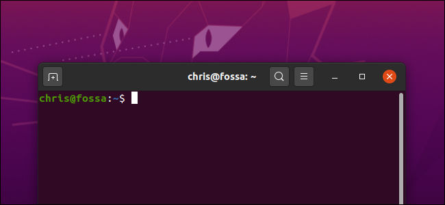 Una ventana de terminal en un escritorio de Ubuntu.