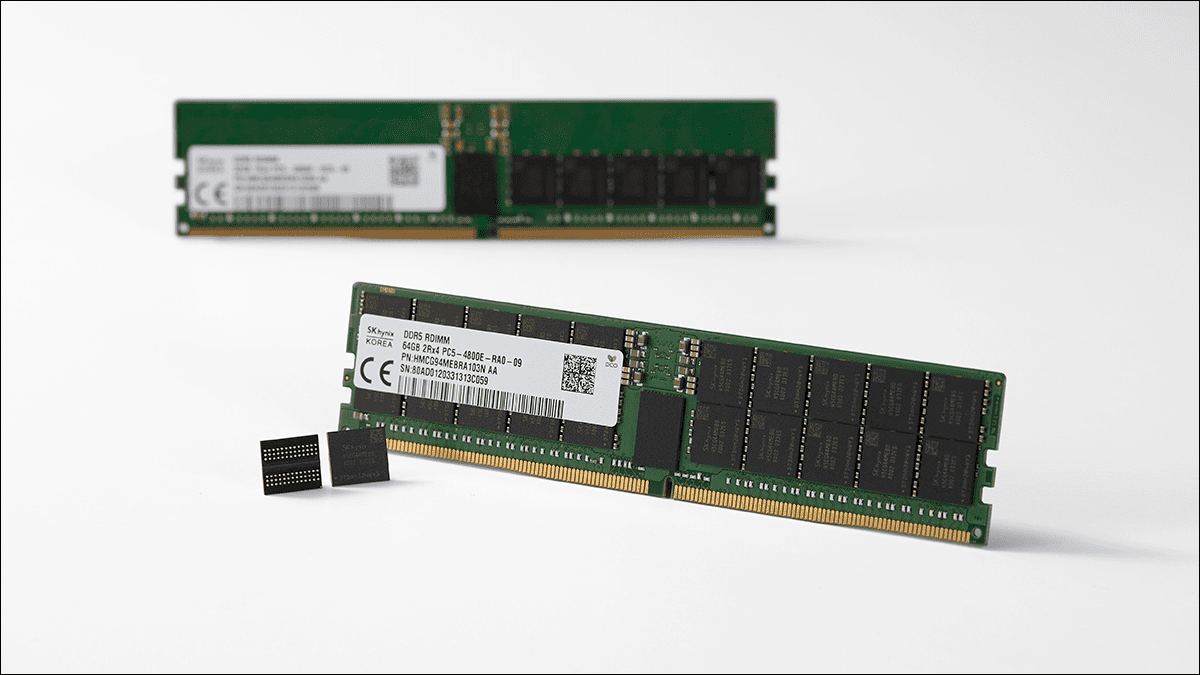 Dos barras de RAM DDR5 con la PCB desnuda y los chips de RAM mostrados.