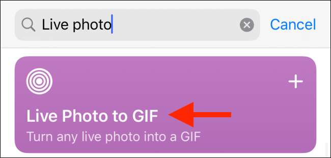 Pegar "Foto en vivo en formato GIF" en el "Buscar" cuadro, luego presione "Foto en vivo en formato GIF."