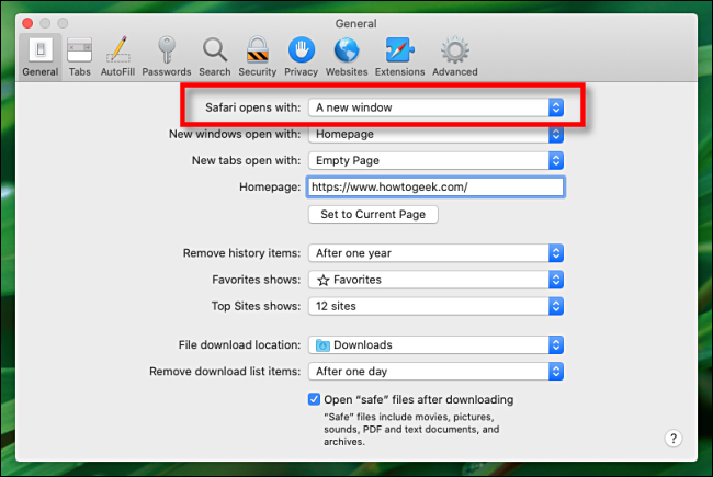 Se abre Search Safari en Preferencias en Mac
