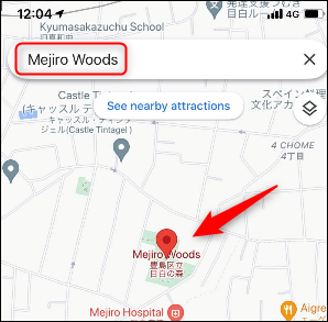 Encuentra un lugar en la aplicación Google Maps