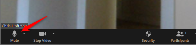 Haga clic en "Silencio" en la barra de herramientas de Zoom inferior