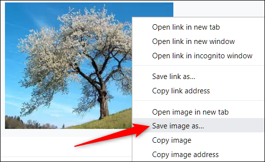 Haga clic con el botón derecho en la imagen, luego haga clic en Guardar imagen como