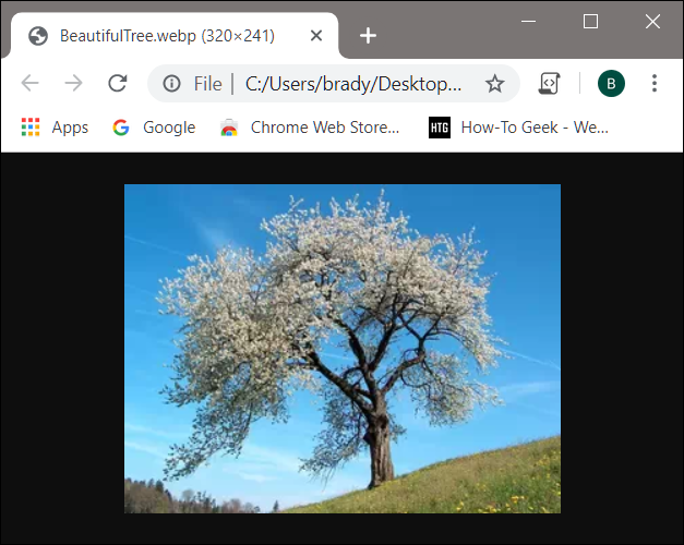 La imagen de WebP se abre directamente en Chrome cuando haces clic en ella