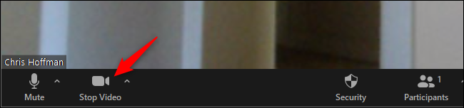 Haga clic en "Detener video" en la barra de herramientas Zoom