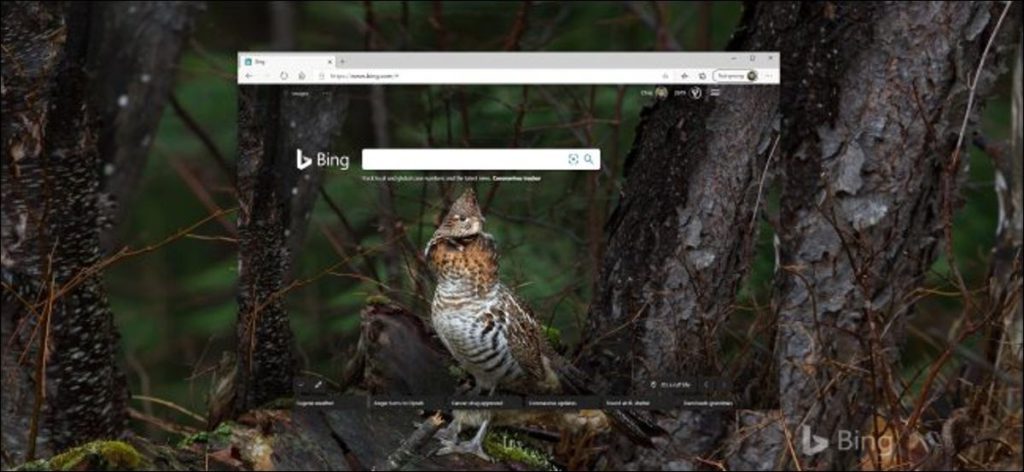 Historial diario de Bing en un navegador y escritorio de Windows 10.