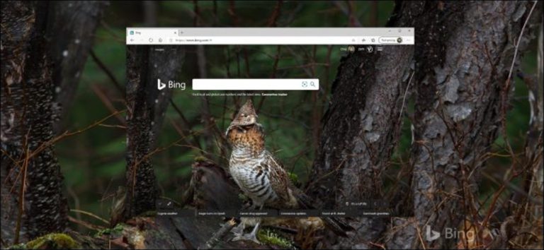 Cómo obtener Bing Daily Photos como fondo de pantalla en Windows 10