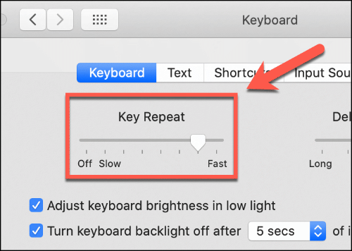 Mueva el control deslizante de repetición de teclas hacia arriba y hacia abajo para afectar la velocidad de repetición del teclado de su Mac