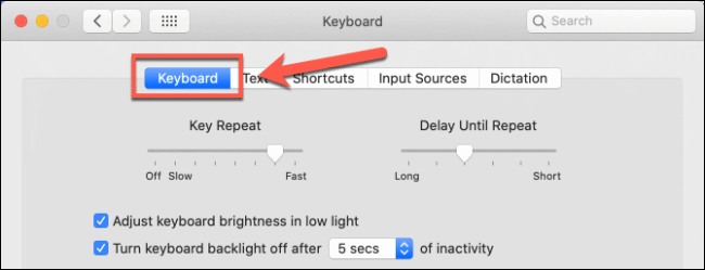 La pestaña Teclado en las opciones del teclado en las Preferencias del sistema macOS