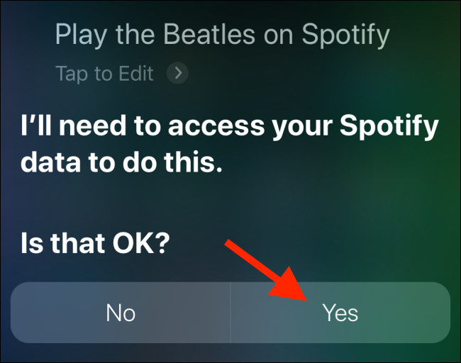 Toca el botón Sí en la página de Siri.