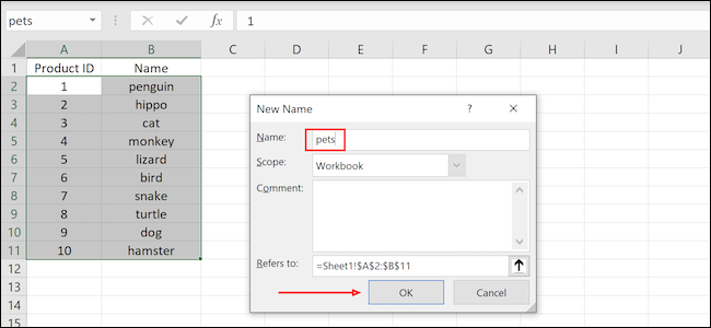 Excel define el nombre