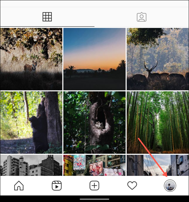Visite la pestaña de perfil en la aplicación de Instagram