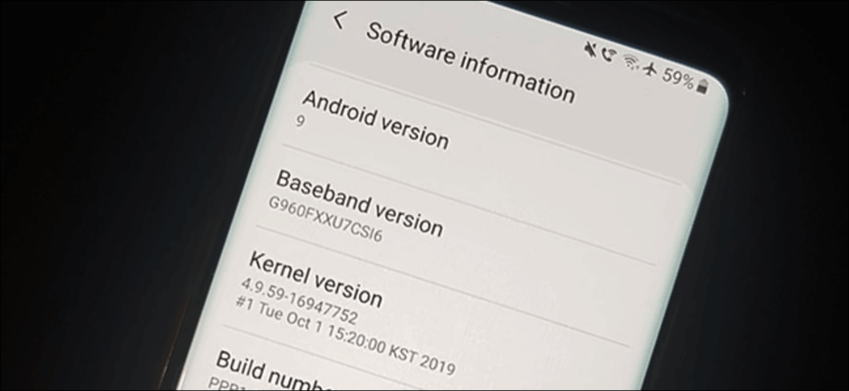 El menú de información del software en un Samsung Galaxy S9 con Android 9