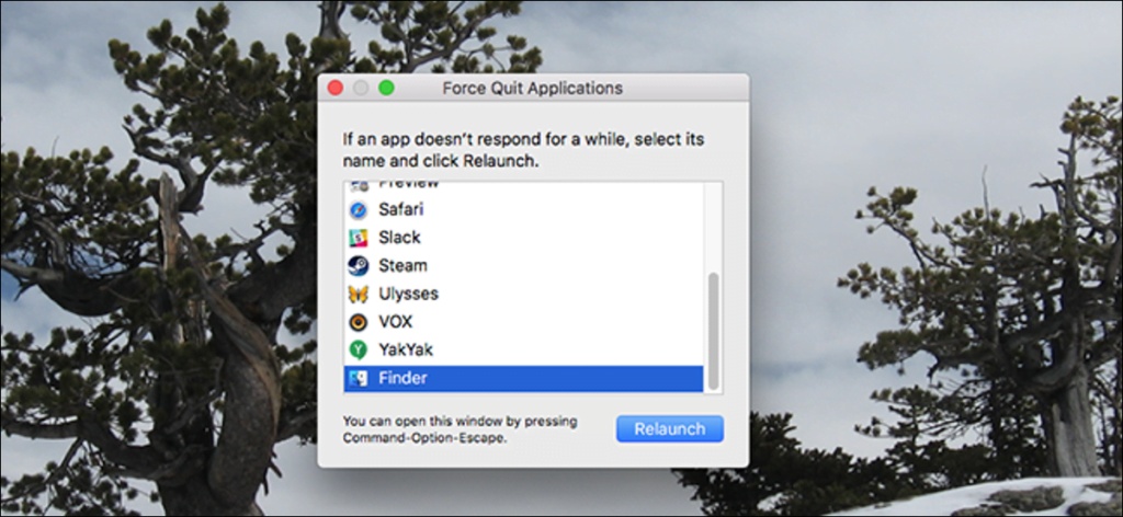 Cómo forzar el cierre de aplicaciones en tu Mac cuando no responden