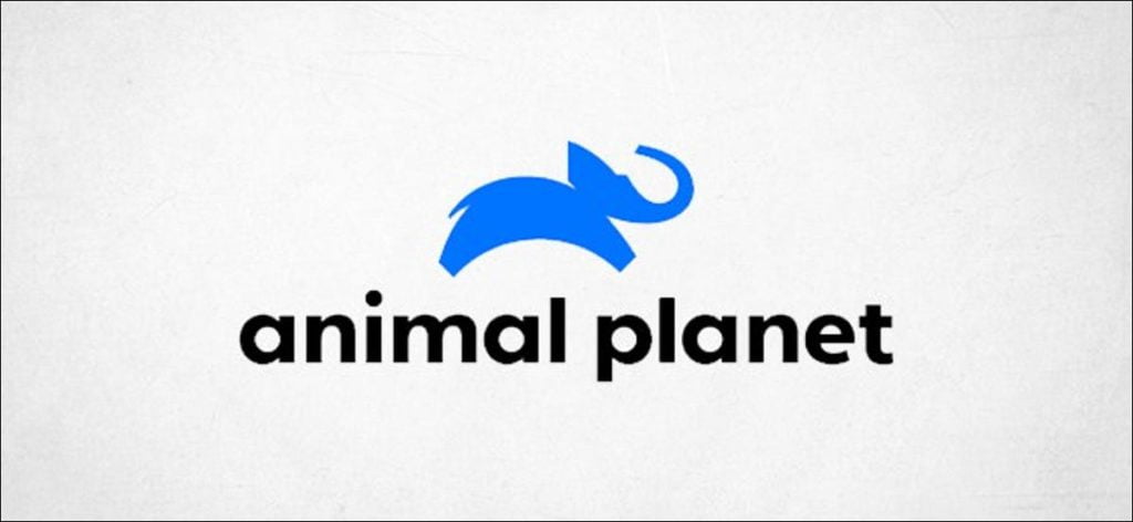 Logotipo del planeta animal