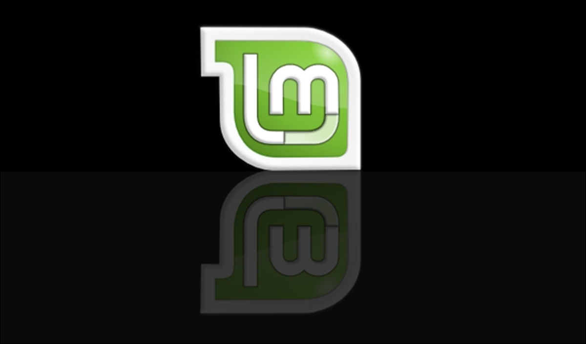 Dual Boot Windows 8 en Linux Mint