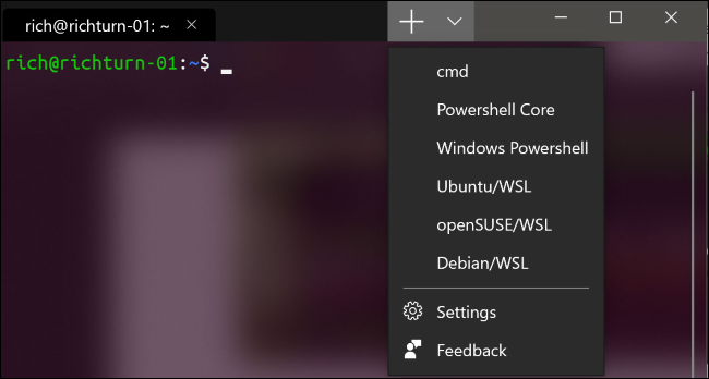 Abra una nueva pestaña en la nueva terminal de Windows