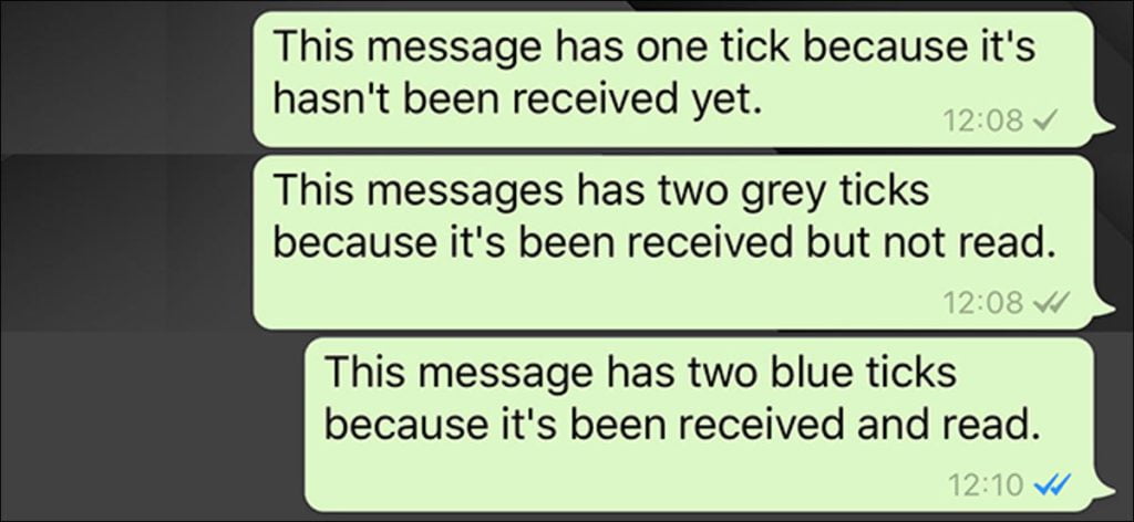 ¿Qué significan las pequeñas garrapatas en WhatsApp?
