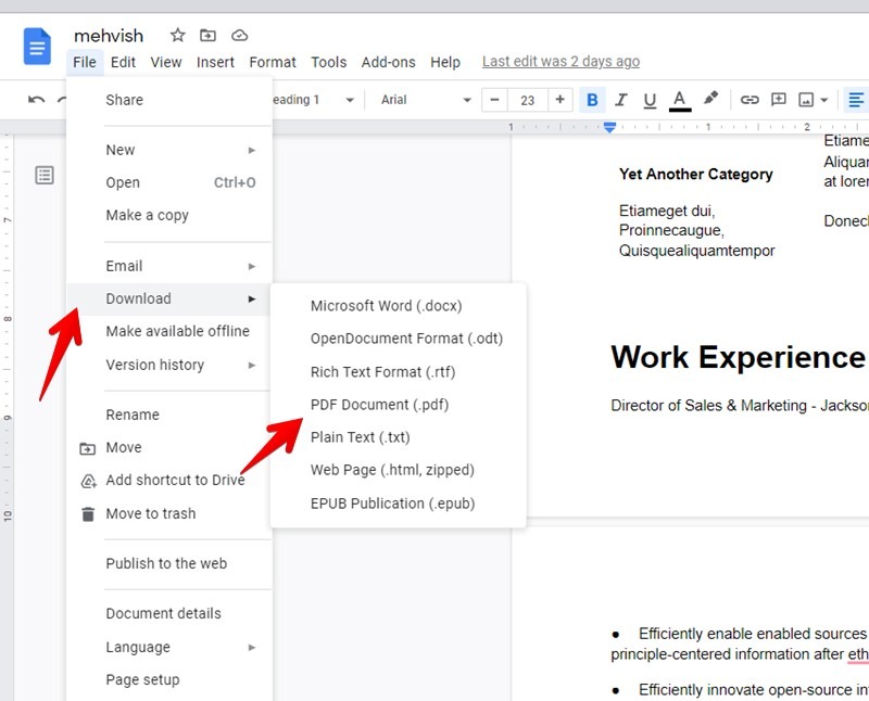 Google Docs Curriculum Vitae Compartir Pdf