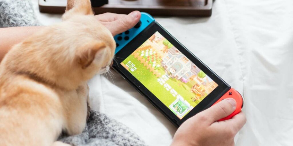 Nintendo Switch Apps Feature