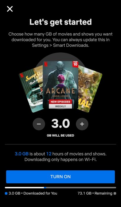 Configuración de almacenamiento de descargas inteligentes de Netflix