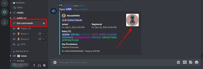 Discord Avvatar Full Ejecutar Bot Command