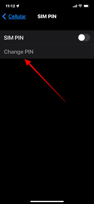 Cambiar PIN de Sim Cambiar PIN de iOS