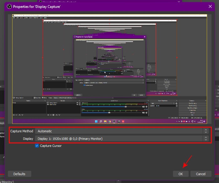 Propiedades de captura de visualización de obs.