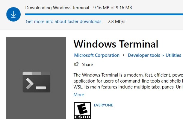 Descarga de terminales de Windows