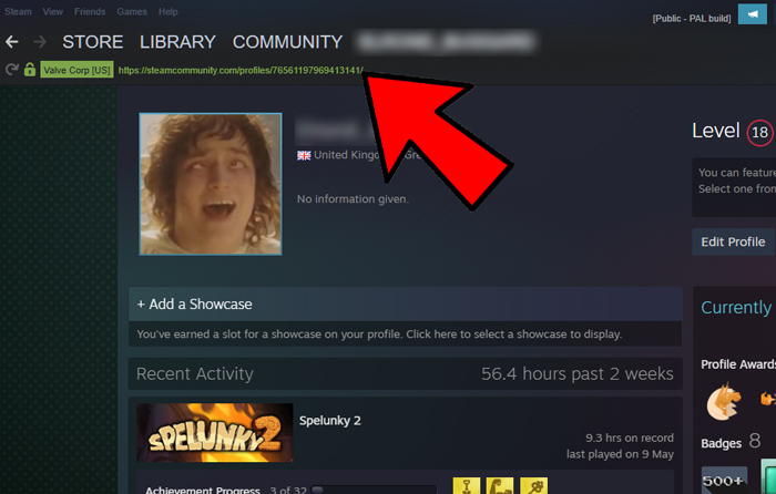 Buscar URL de ID de Steam