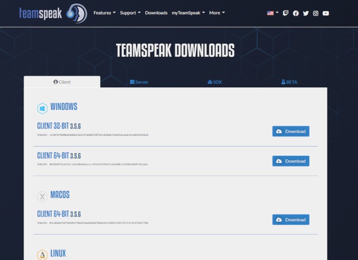 Página de descargas de Teamspeak