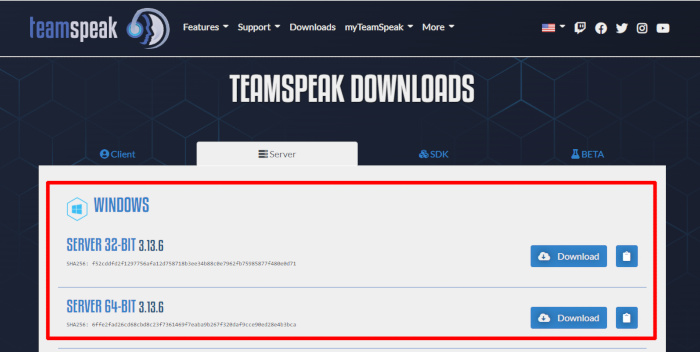 Servidor de la página de descargas de Teamspeak