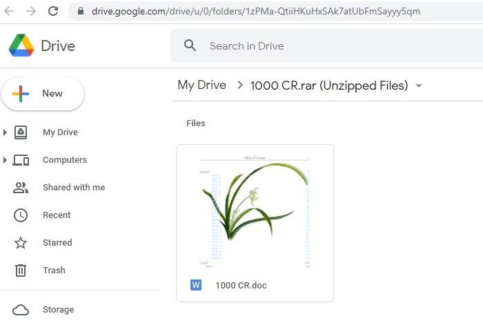 Zip Rar Google Drive Zip Extractor Archivos descomprimidos visibles