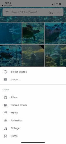 Guía para principiantes Organización de Google Photos