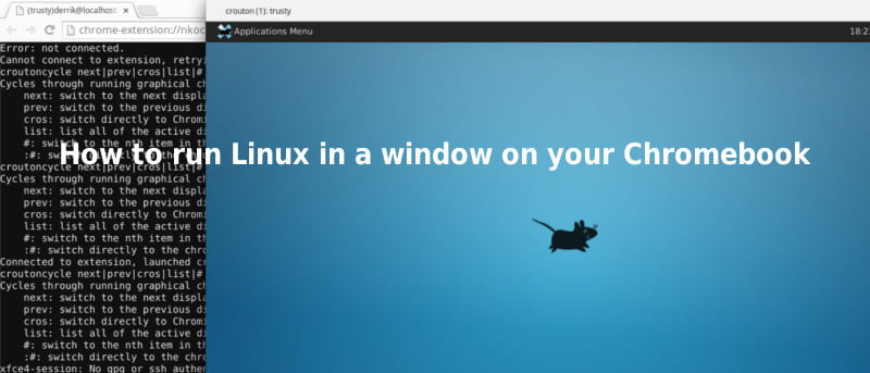 Cómo ejecutar Linux en una ventana en tu Chromebook